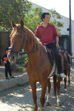 有馬紀念2005-12-312003年至2006年加崙工作室(大開劇團)時期台中20號倉庫藝術特區藝術村