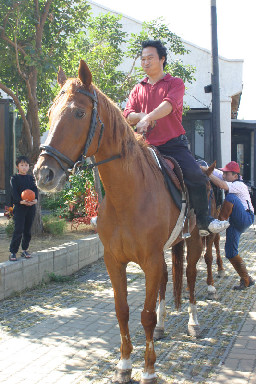 有馬紀念2005-12-312003年至2006年加崙工作室(大開劇團)時期台中20號倉庫藝術特區藝術村