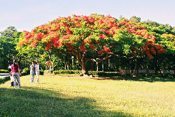 東海大學-夏天暑假台中市熱門旅遊景點