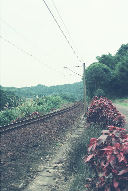 山線鐵路勝興-泰安底片影像