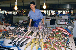 台中港觀光魚市場台中拍照景點2018