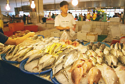 台中港觀光魚市場台中拍照景點2018