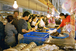 台中港觀光魚市場台中拍照景點2018