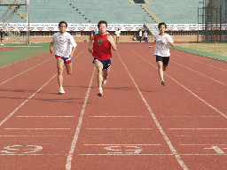 大豐裝訂田徑20031109台灣體育運動大學運動攝影