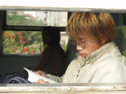 平快車數位版本台灣鐵路旅遊攝影