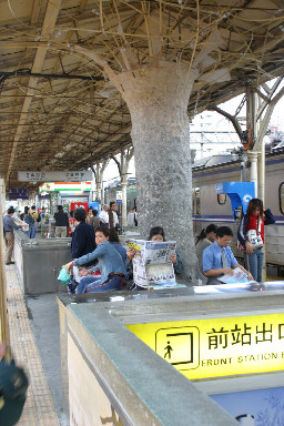 公共藝術-李朝倉-菩提樹月台景物篇台中火車站台灣鐵路旅遊攝影