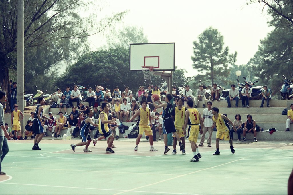 東海大學籃球
