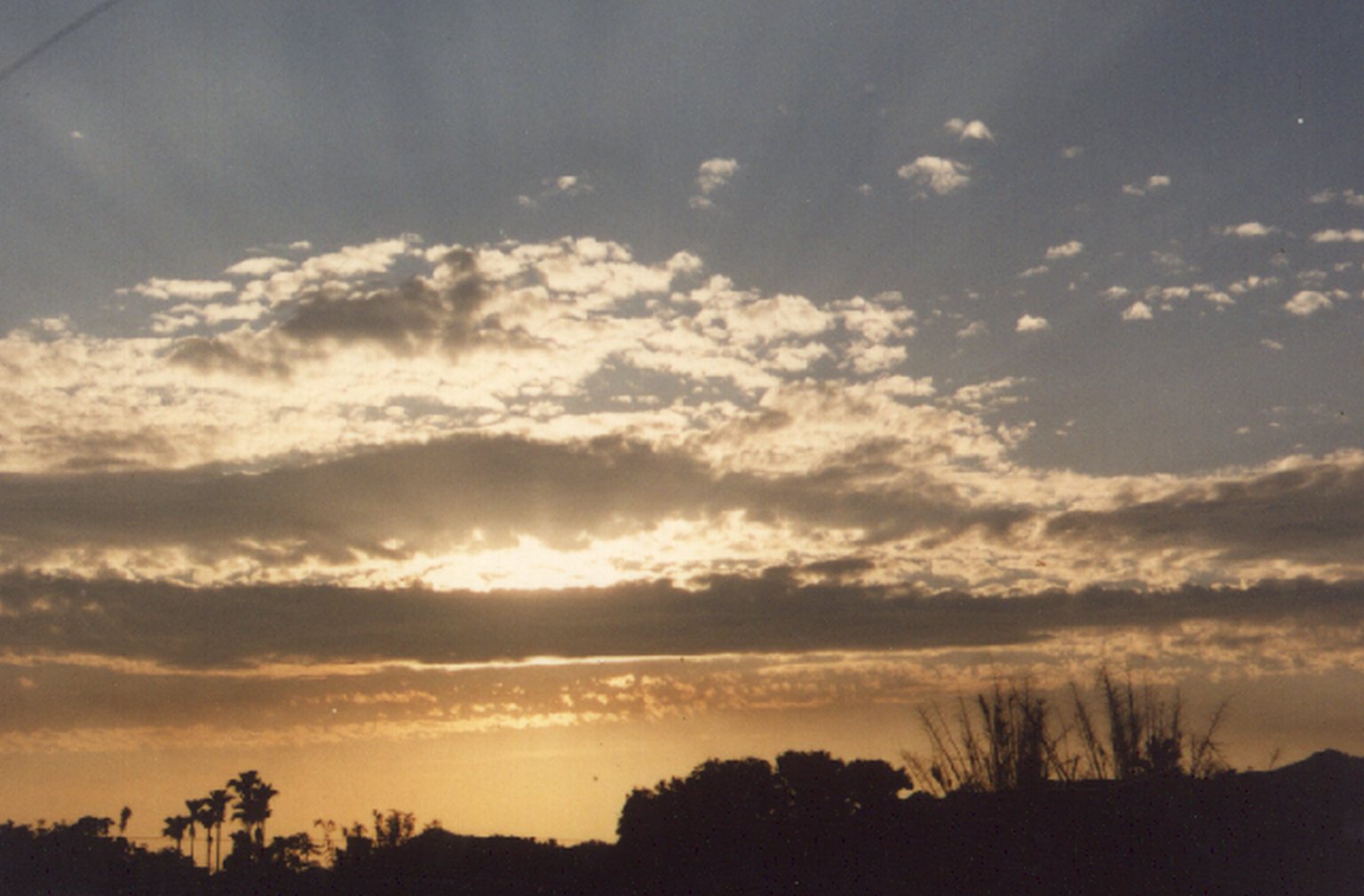 Disk3SCANEDUSERTIF攝影照片59