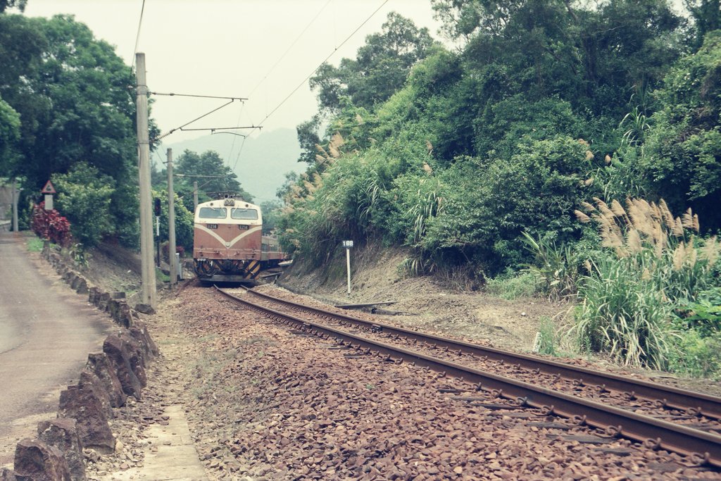 底片影像山線鐵路勝興-泰安攝影照片11