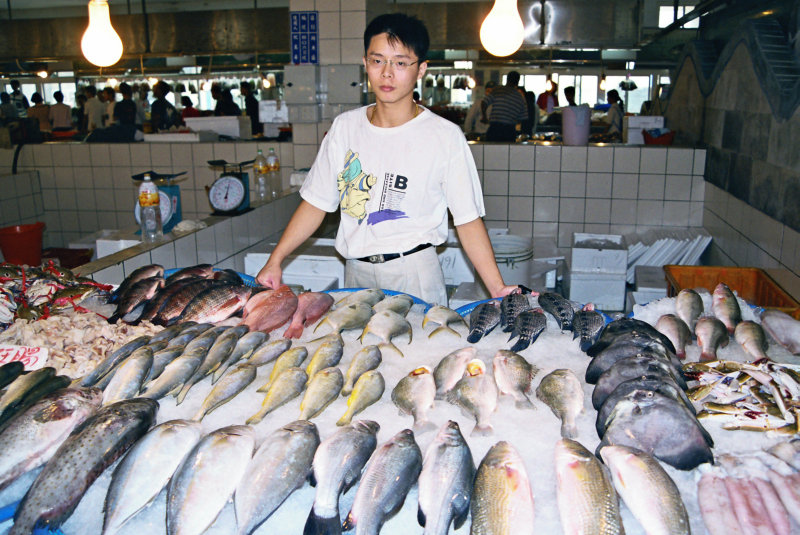 台中拍照景點2018台中港觀光魚市場攝影照片12