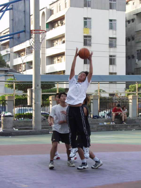 台灣體育運動大學運動攝影籃球場20020212(體育場旁)攝影照片4