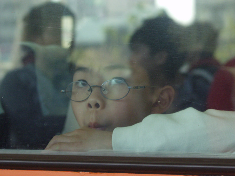 台灣鐵路旅遊攝影PP自強號攝影照片161