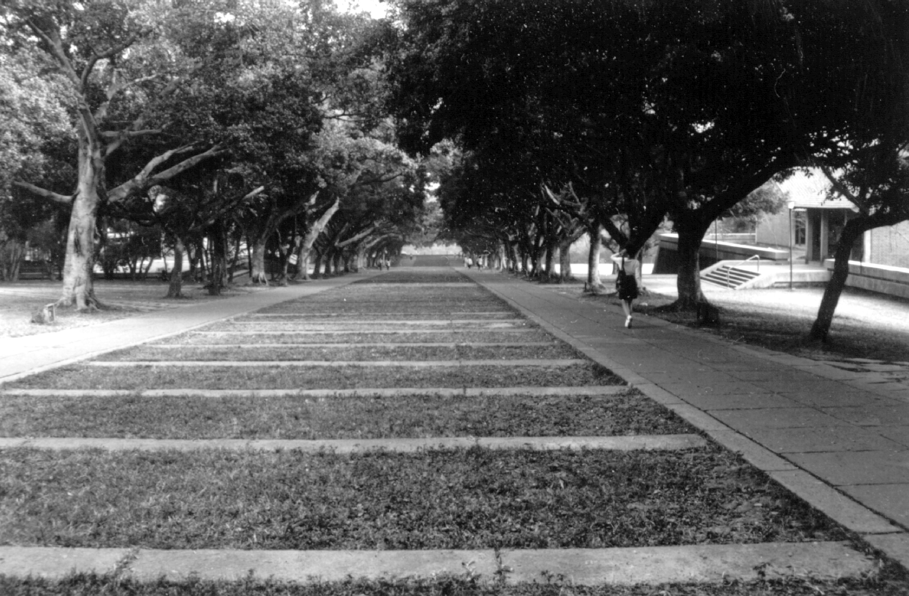 老照片交流道黑白照片30年前東海大學校園