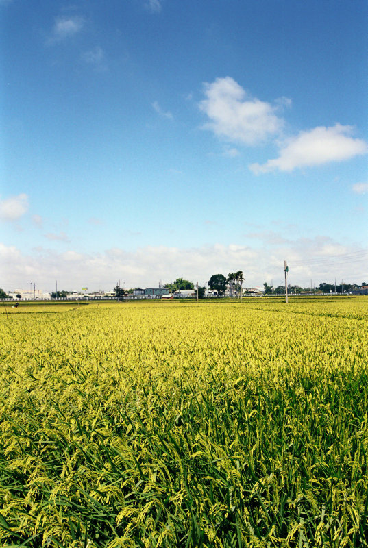 秋天水湳台中市熱門旅遊景點
