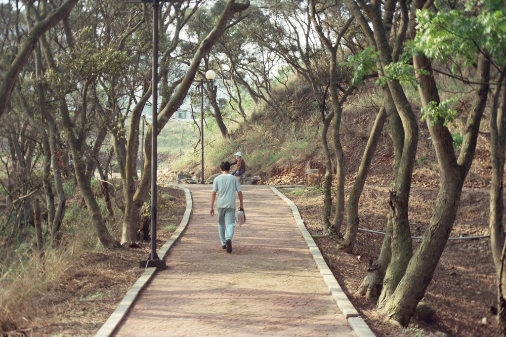 大肚山底片影像