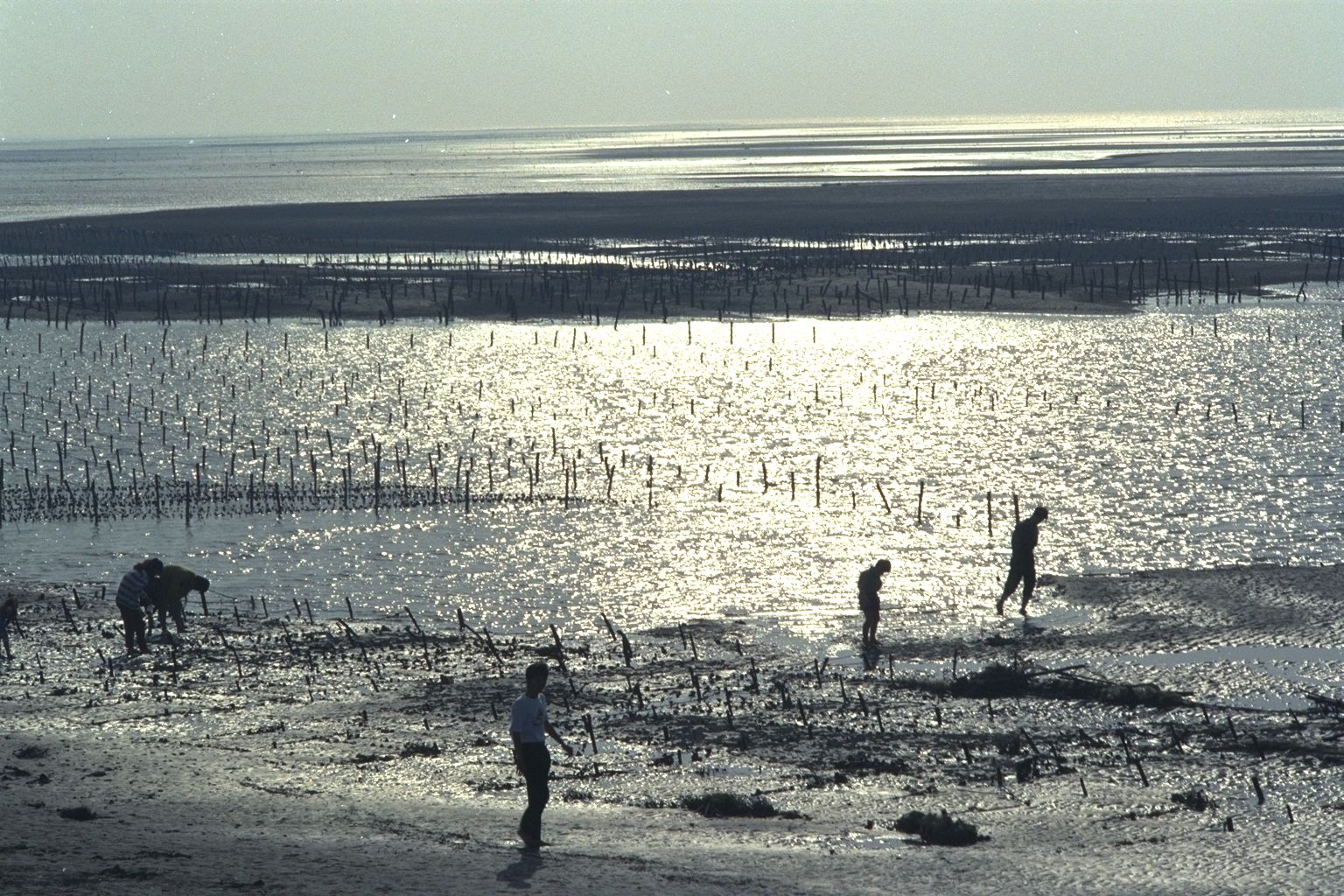 台中一中石先生攝影作品集老照片時光機