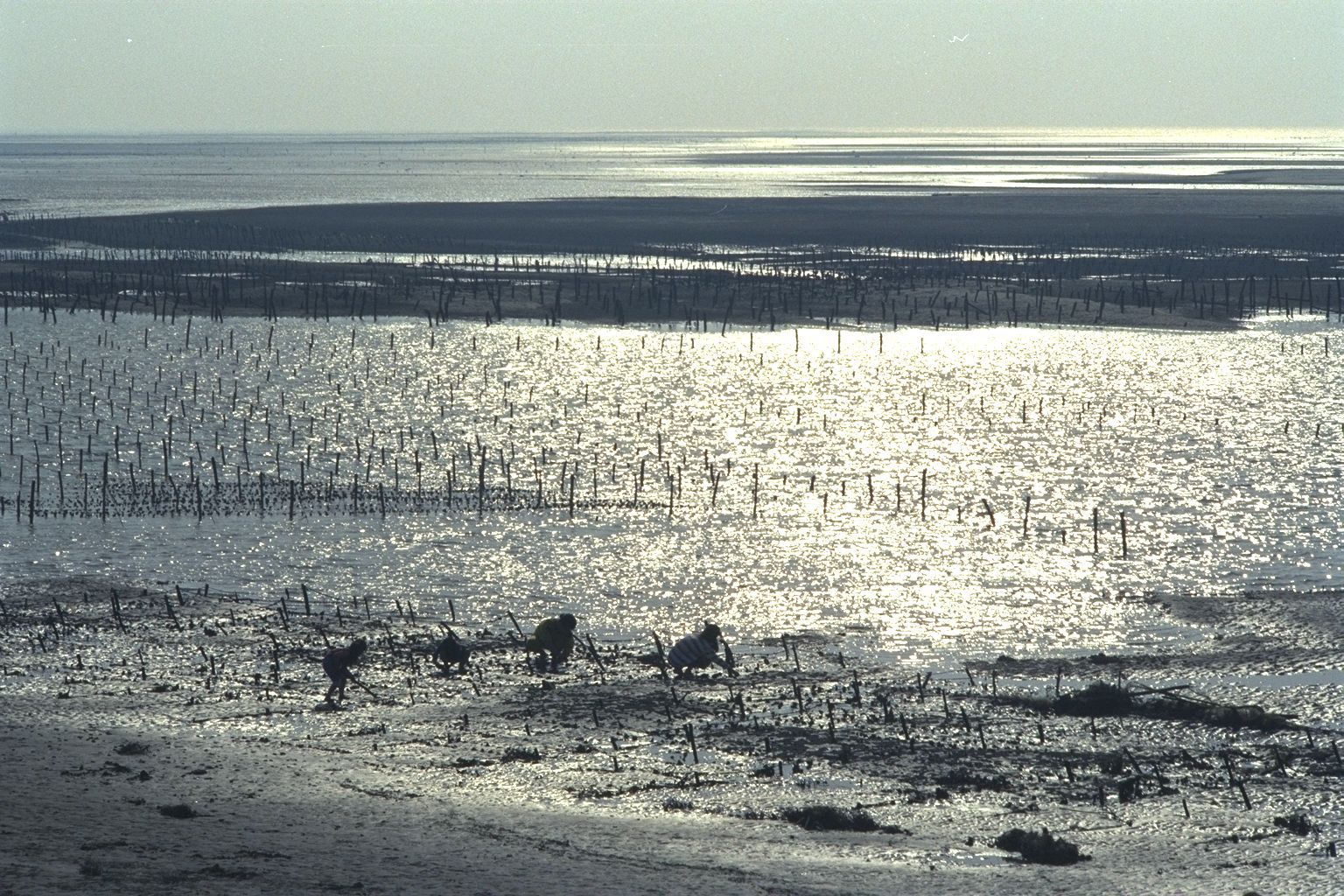 台中一中石先生攝影作品集老照片時光機
