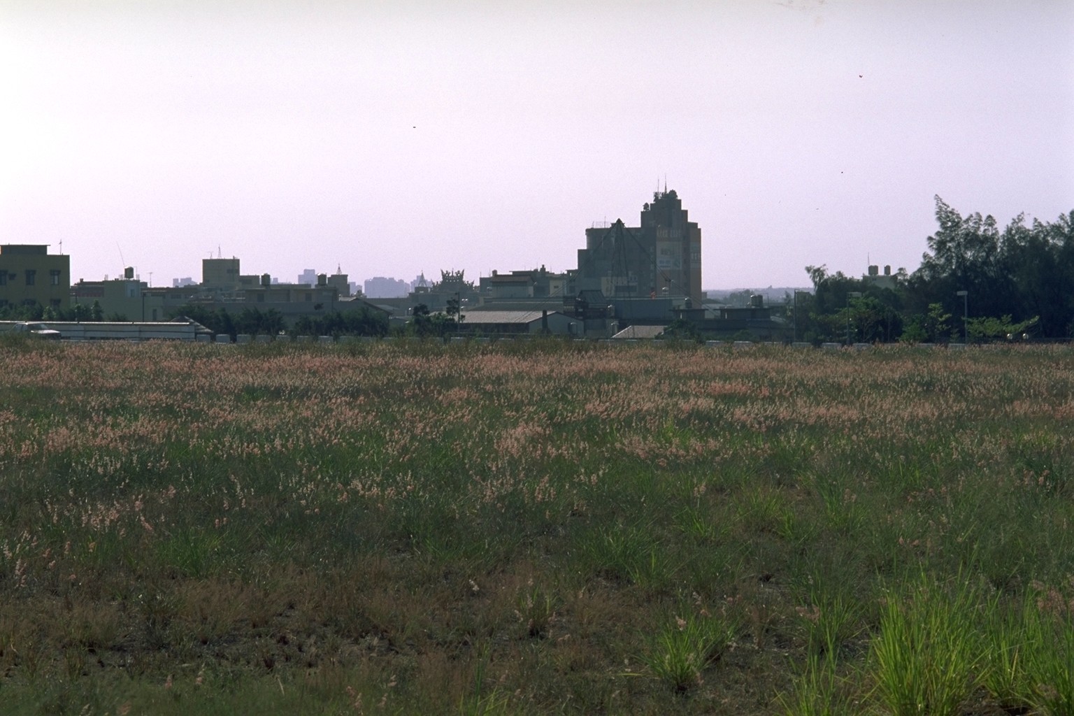 台中清水鰲峰山正片老照片時光機