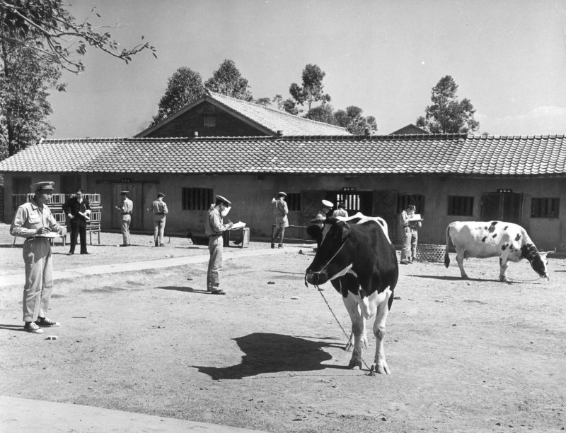 台灣省第一屆農業教育展老照片時光機