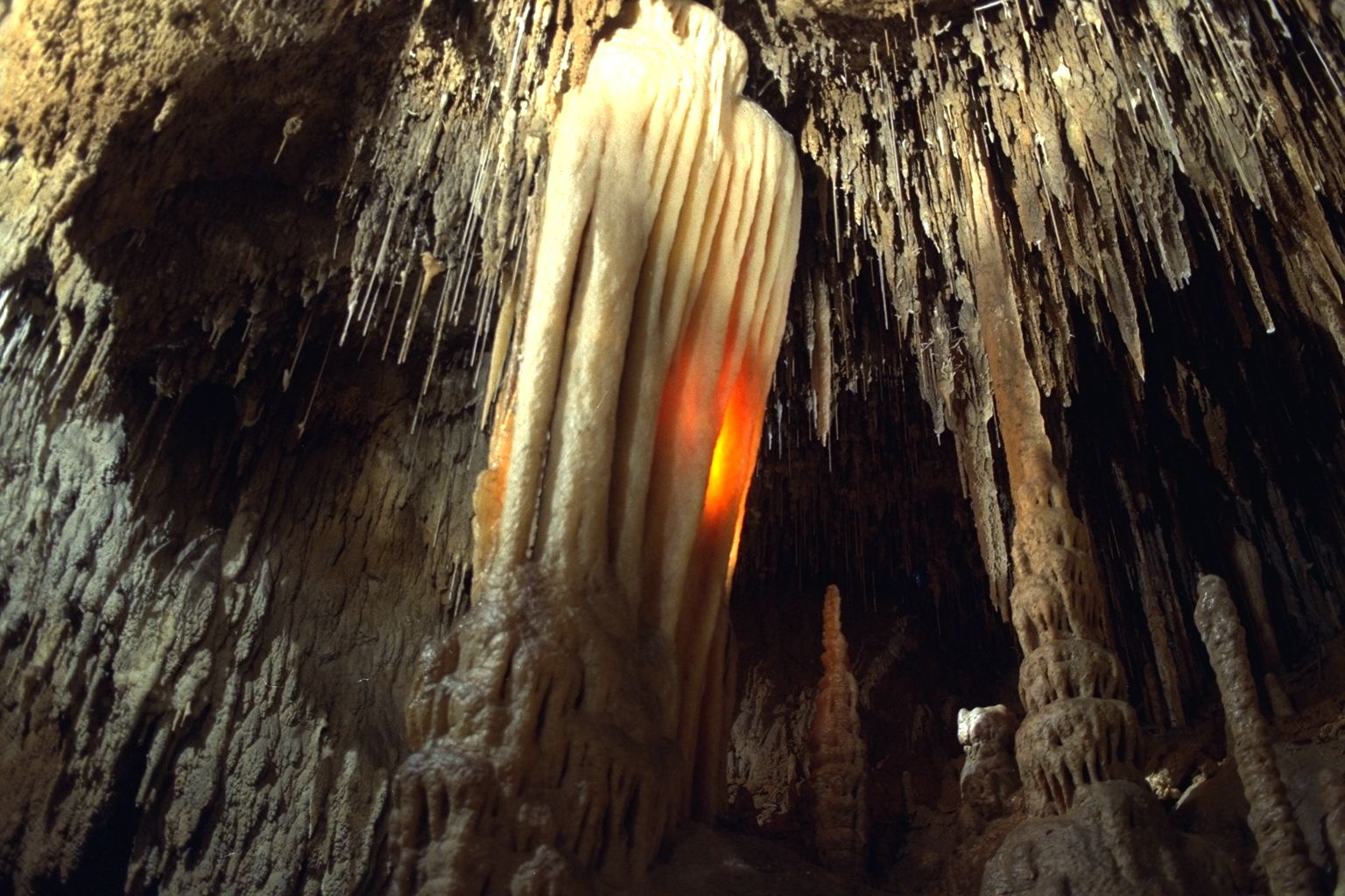 振聲澳洲旅行老照片時光機