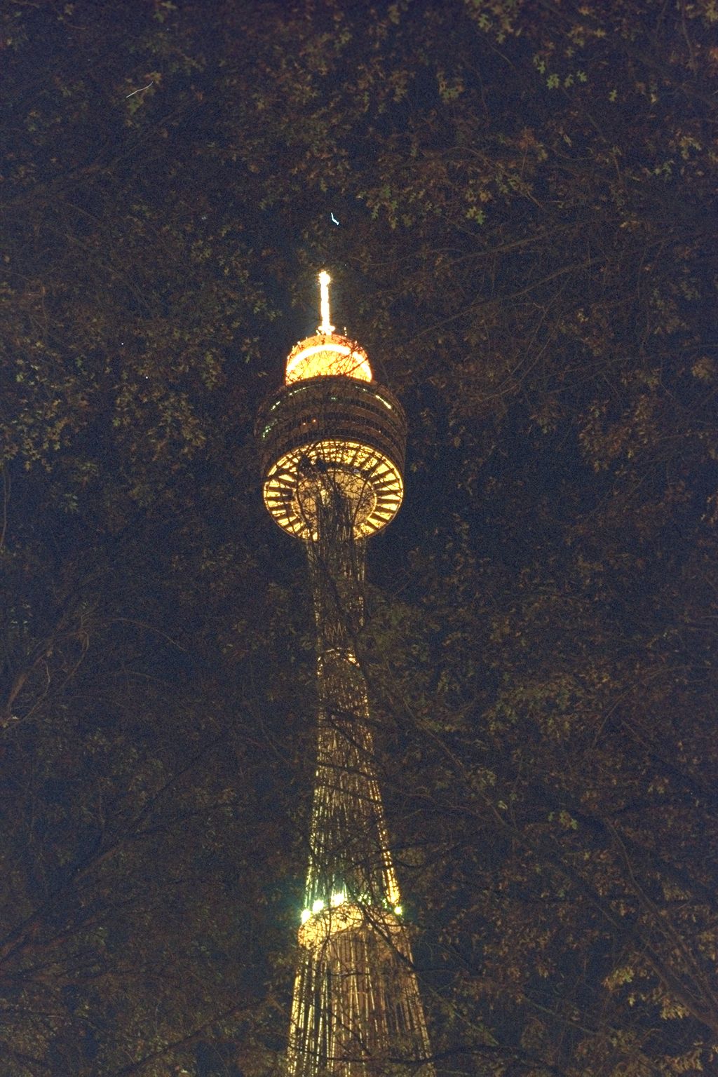 振聲澳洲旅行老照片時光機