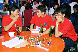 中國醫藥學院校慶3(1999台中體育場)校園博覽會