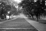 黑白風景照東海大學老照片時光機