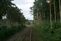 鐵道之旅1999-7-17南投集集台灣鐵路旅遊攝影