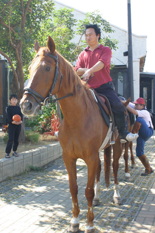 台中20號倉庫藝術村2003年至2006年加崙工作室(大開劇團)時期有馬紀念2005-12-31