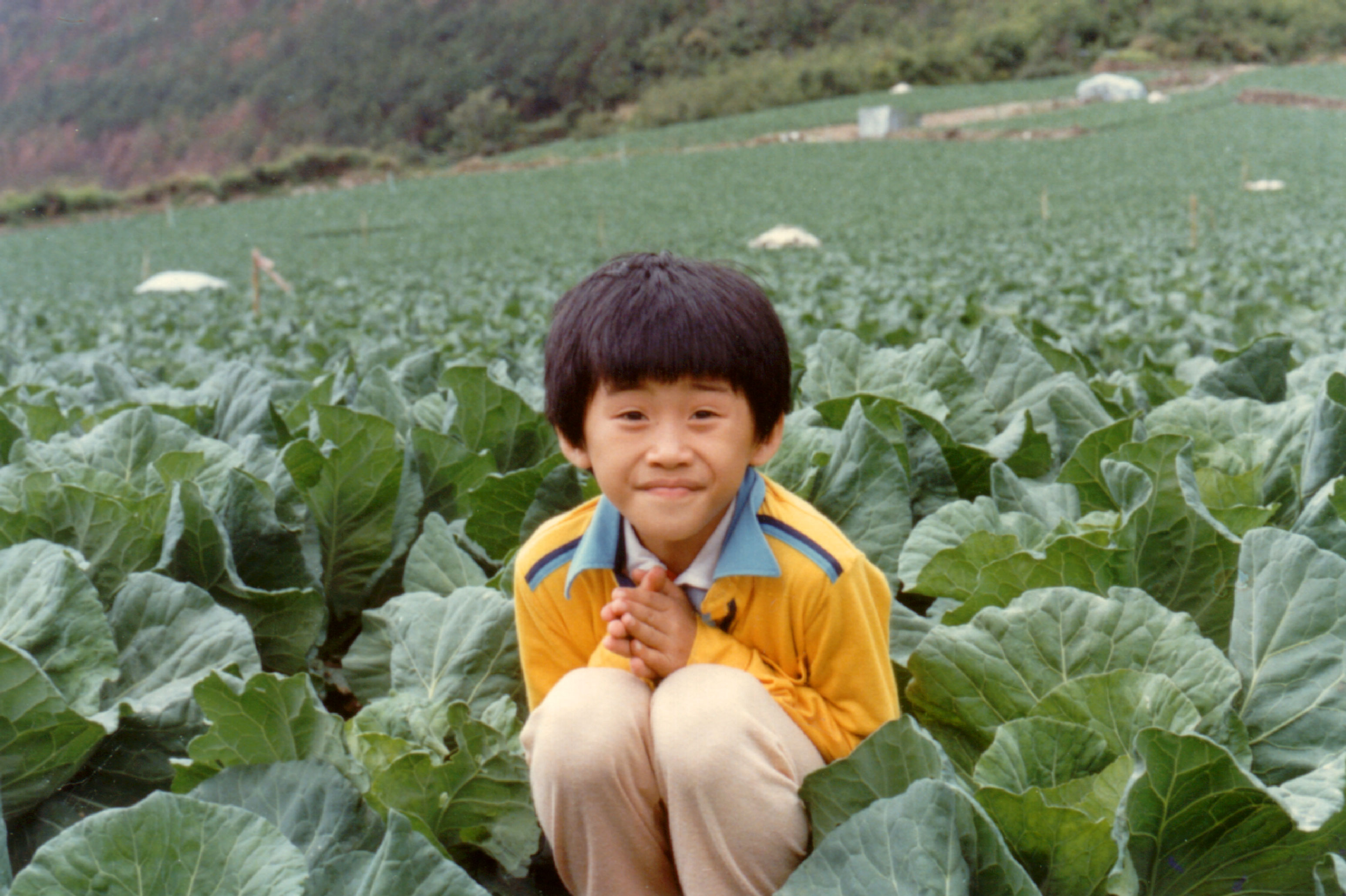 嶺東同學會同班同學交換照片