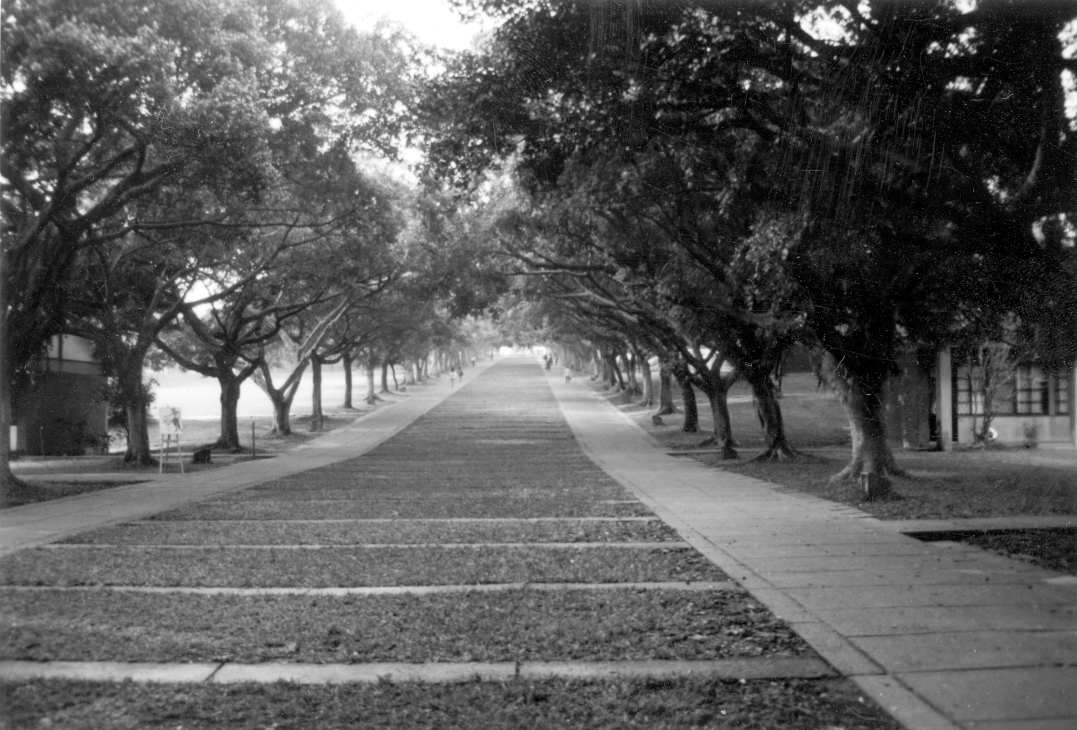 老照片時光機黑白風景照東海大學攝影照片2