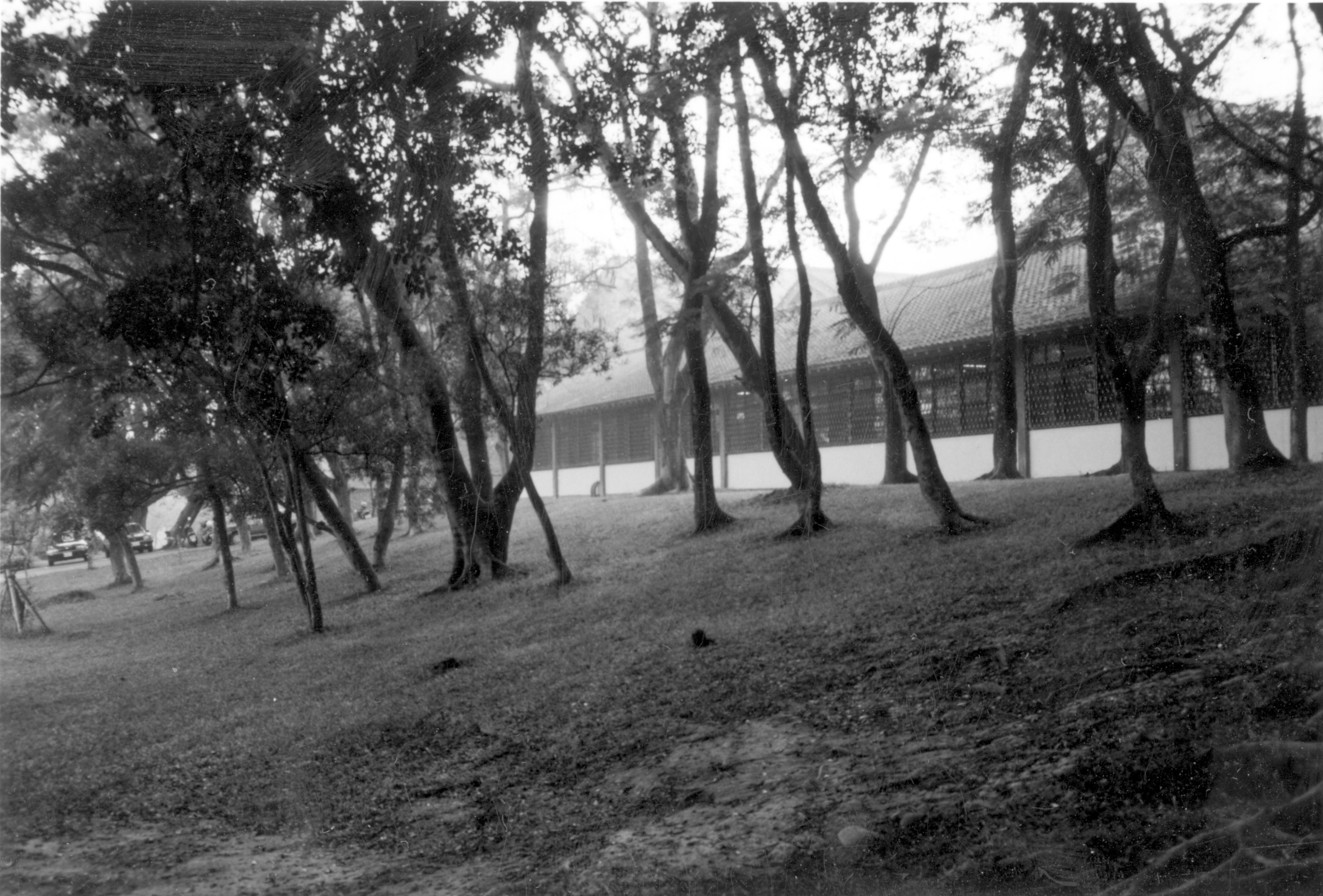 老照片時光機黑白風景照東海大學攝影照片3