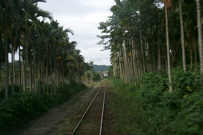 台灣鐵路旅遊攝影南投集集鐵道之旅1999-7-17攝影照片11