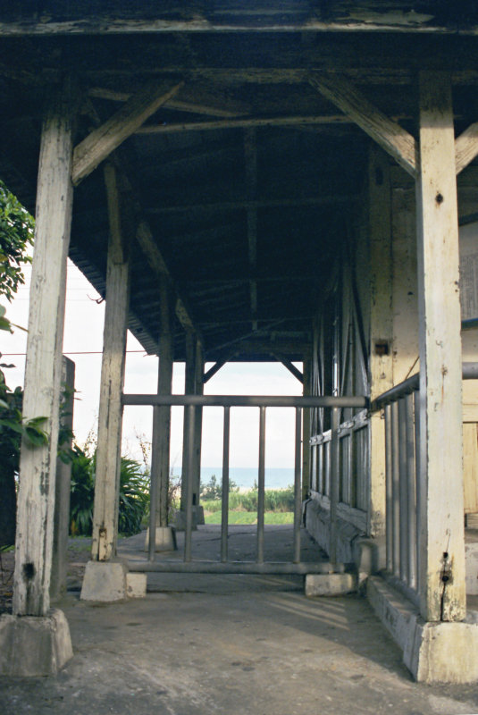 台灣鐵路旅遊攝影海線鐵路新埔火車站建築攝影1999年夏季攝影照片5