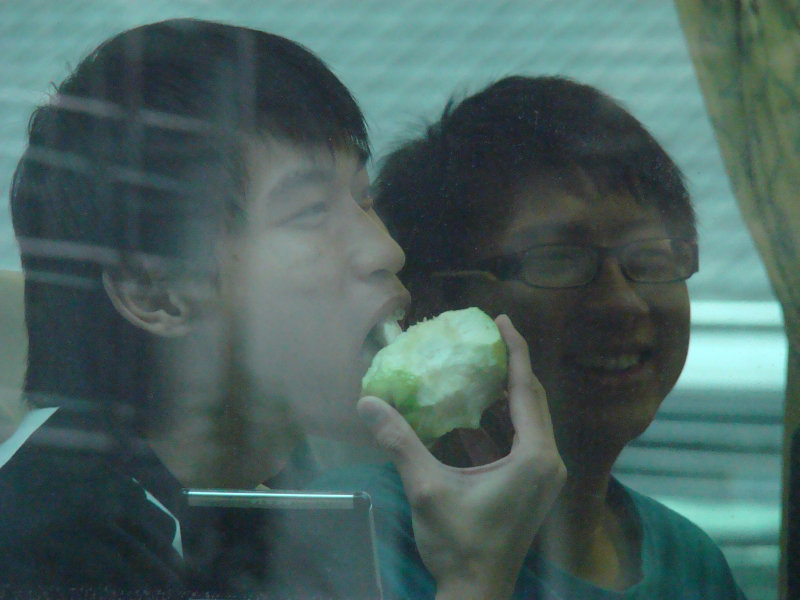 台灣鐵路旅遊攝影電車-區間車窗戶旁的旅客攝影照片3